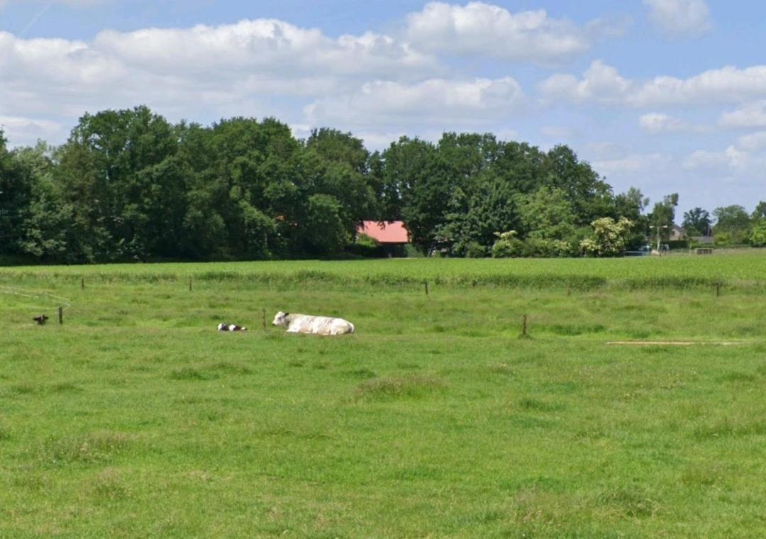 Bed & Breakfast Boekel Bagian luar foto