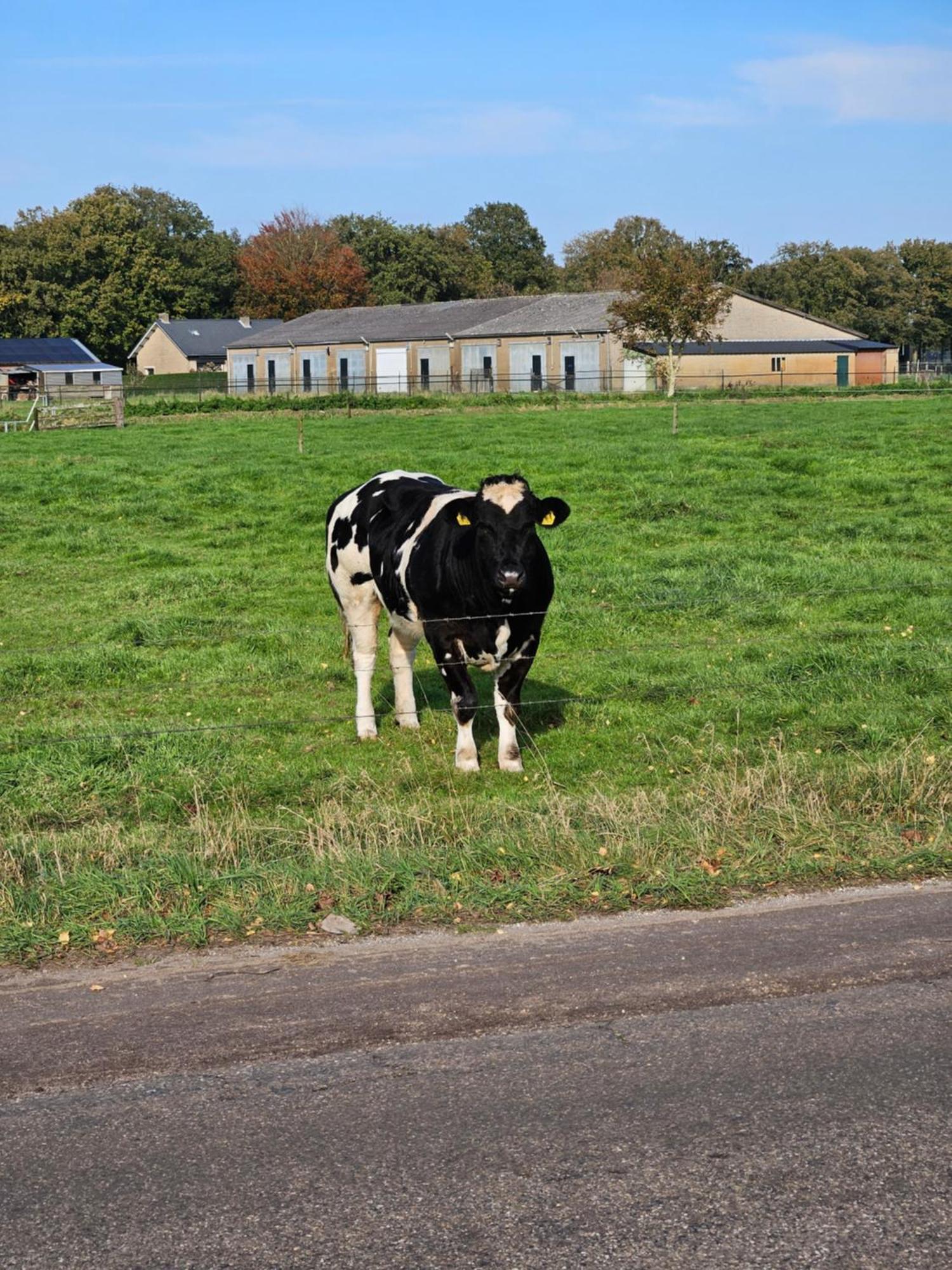 Bed & Breakfast Boekel Bagian luar foto